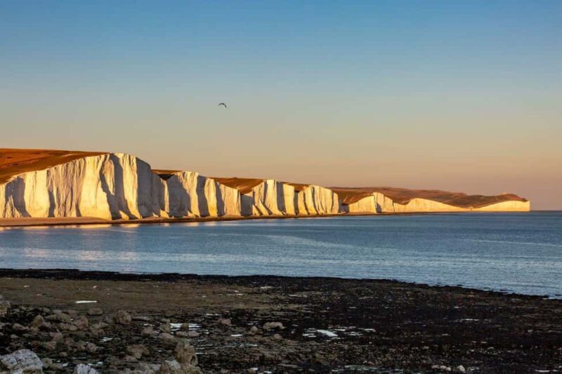 London: Brighton & Seven Sisters Cliffs Private Day Tour - Exploring the Tour Itinerary in Detail  