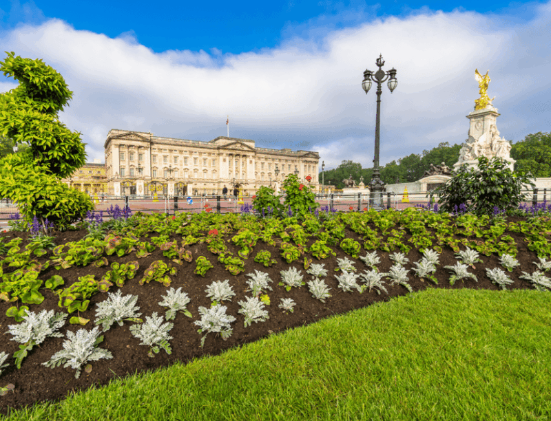 london-buckingham-palace-and-royal-london-walking-tour