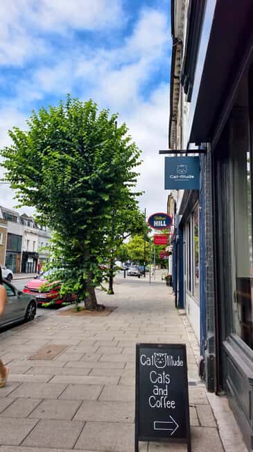 London Cat Cafe: Cat Lounge Entry Ticket - The Sum Up: Is It Worth Adding to Your London Itinerary?