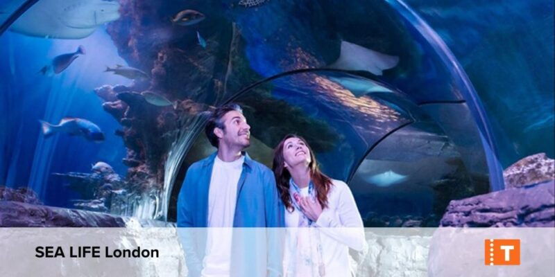 london-city-pass-top-attractions-guided-tours-hoho