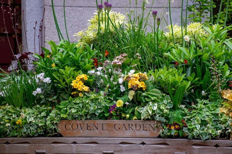 London: Customized Half-Day Private Tour with a Local - Why Choose a Private, Customized Tour in London?