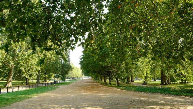 london-discover-pass-with-hoho-bus-tours-cruise-and-walks