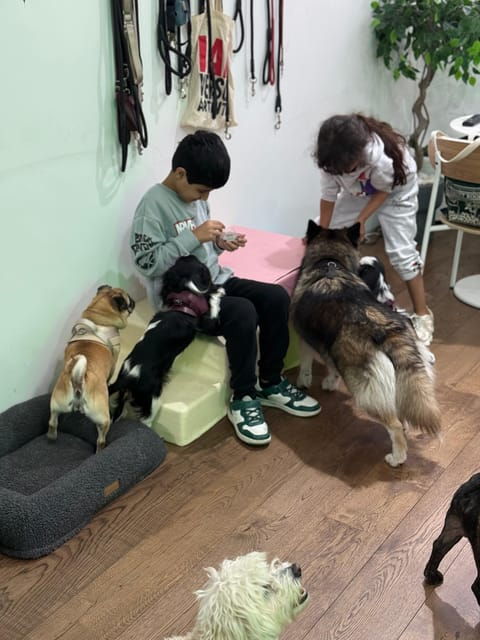 london-dog-cafe-experience