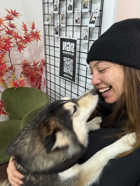 london-dog-cafe-experience