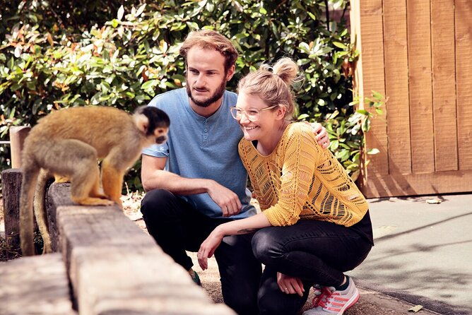 london-explorer-pass-2-to-7-things-to-do-including-london-eye