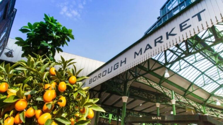 london-family-harry-potter-movie-locations-tour-private