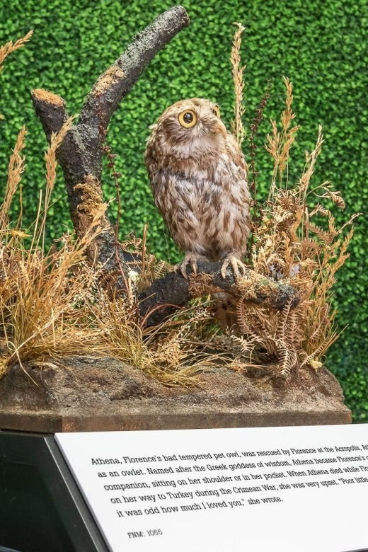 london-florence-nightingale-museum-ticket