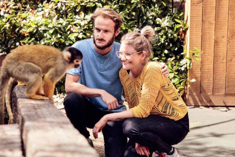 london-go-city-explorer-pass-tickets-for-2-7-attractions