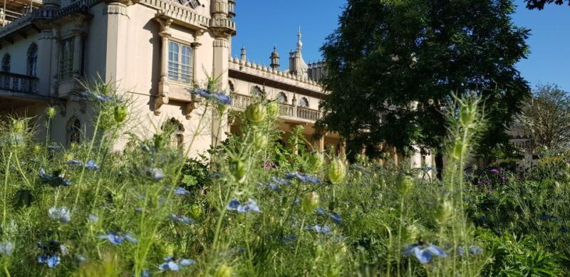 london-guided-day-trip-to-brighton-and-seven-sisters