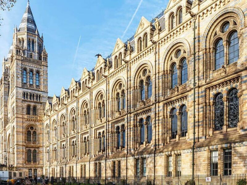 london-guided-exploration-at-the-museum-of-natural-history