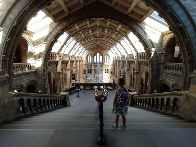 london-guided-exploration-at-the-museum-of-natural-history