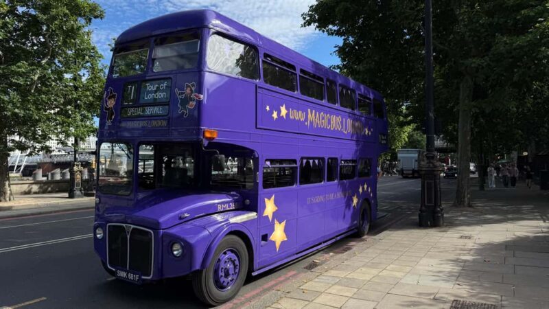 London: Guided Harry Potter Bus Tour of Locations - Practical Details