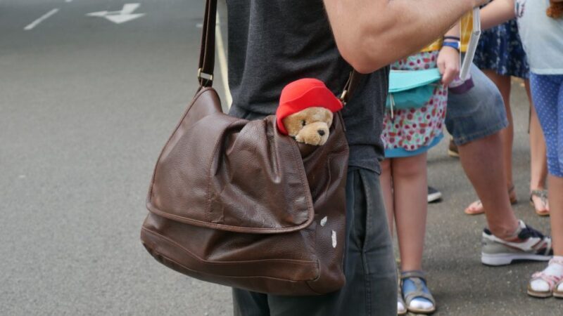 London: Guided Paddington Bear Walking Tour - Key Points