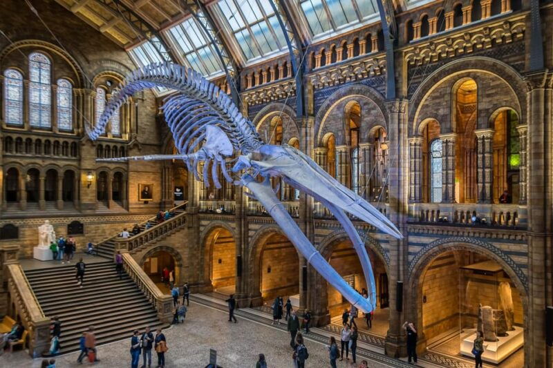 london-guided-tour-of-the-natural-history-museum