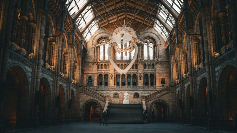 london-guided-tour-of-the-natural-history-museum