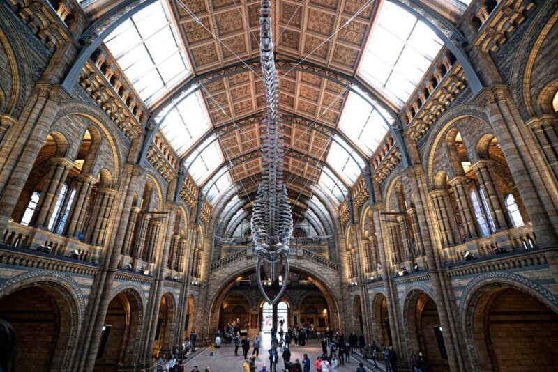 london-guided-tour-of-the-natural-history-museum