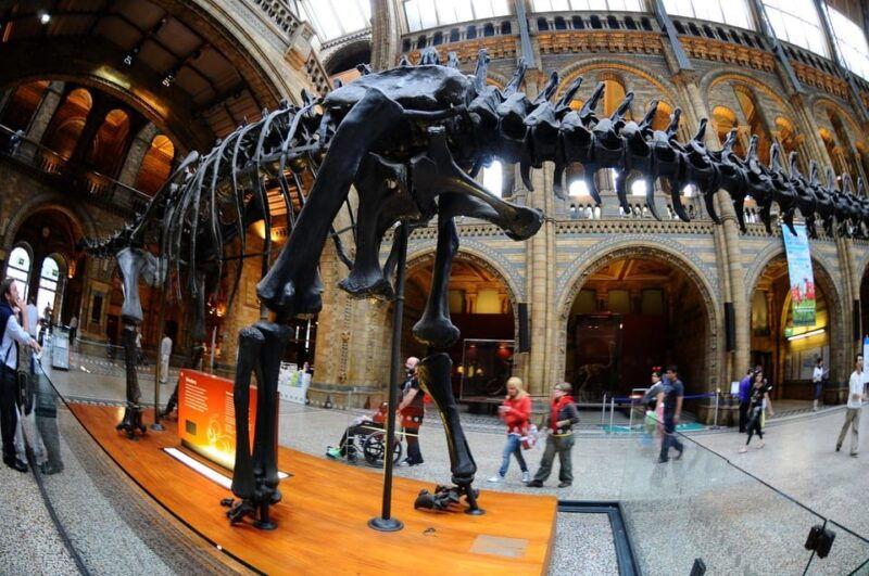 london-guided-tour-of-the-natural-history-museum