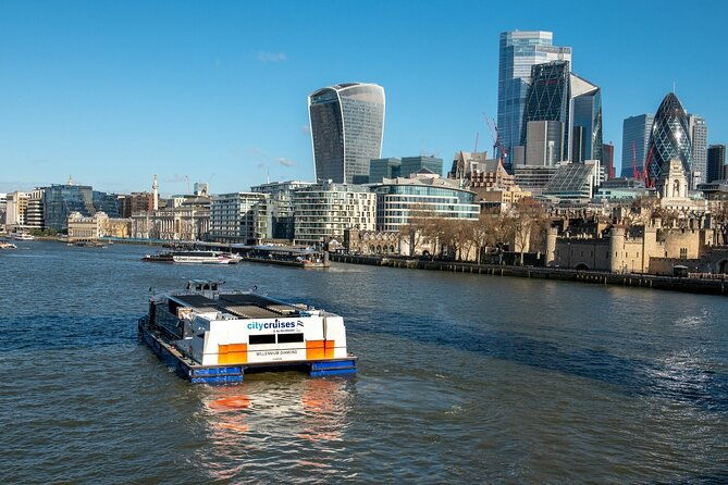 london-harry-potter-walk-hop-on-hop-off-bus-tour-and-cruise