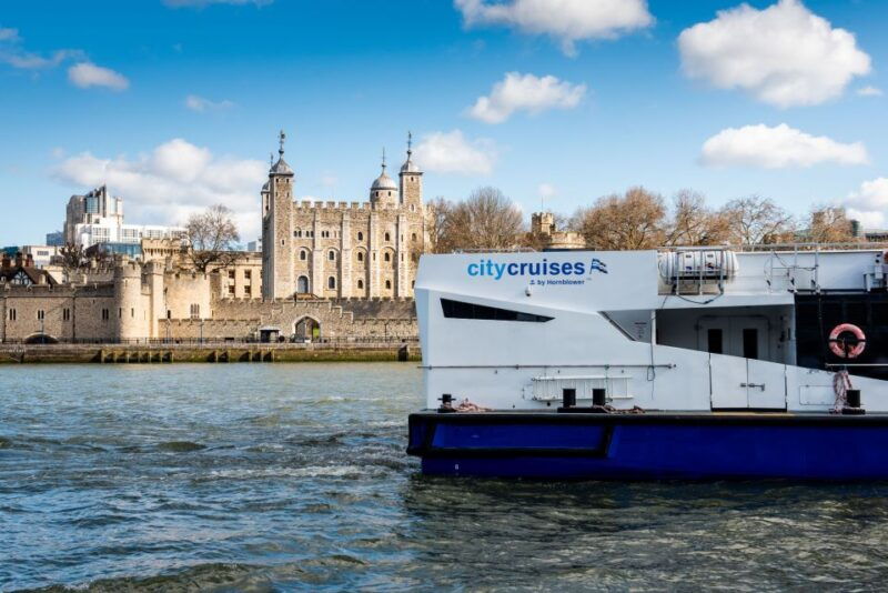 london-harry-potter-walk-hop-on-hop-off-bus-tour-cruise