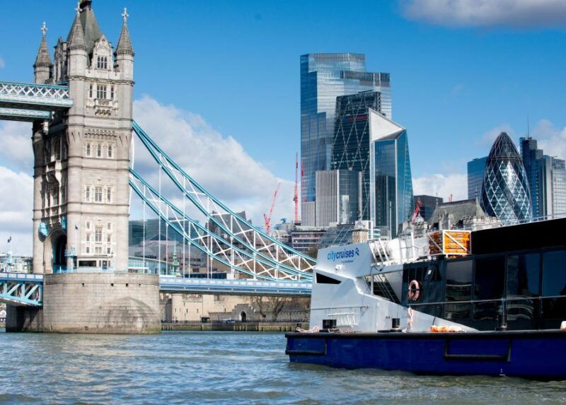 london-harry-potter-walk-hop-on-hop-off-bus-tour-cruise