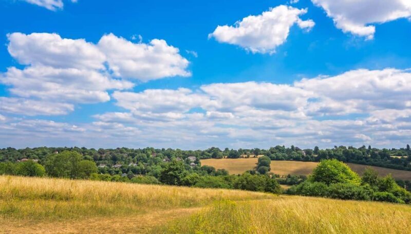 London: Hever Castle & Chartwell House Private Day Tour - Discover the Charm of South East England: Hever Castle & Chartwell House Private Day Tour