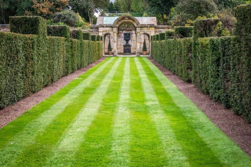 London: Hever Castle & Chartwell House Private Day Tour - Deep Dive into the Sites