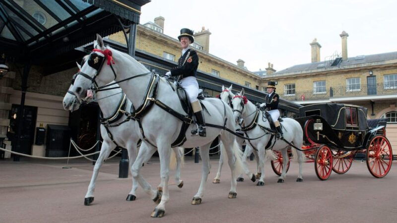 london-highlights-tour-buckingham-palace-royal-mews-ticket