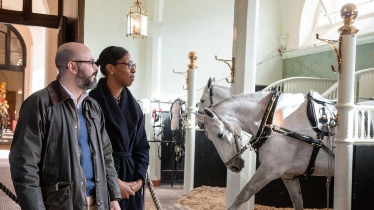 london-highlights-tour-buckingham-palace-royal-mews-ticket