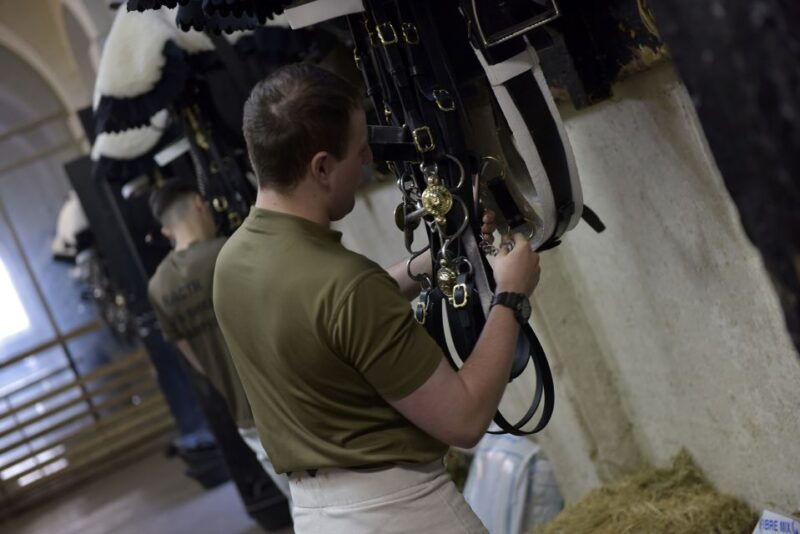 london-household-cavalry-museum-entry-ticket