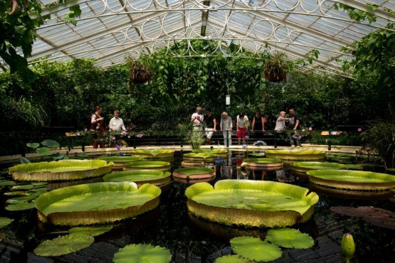 london-kew-gardens-admission-ticket