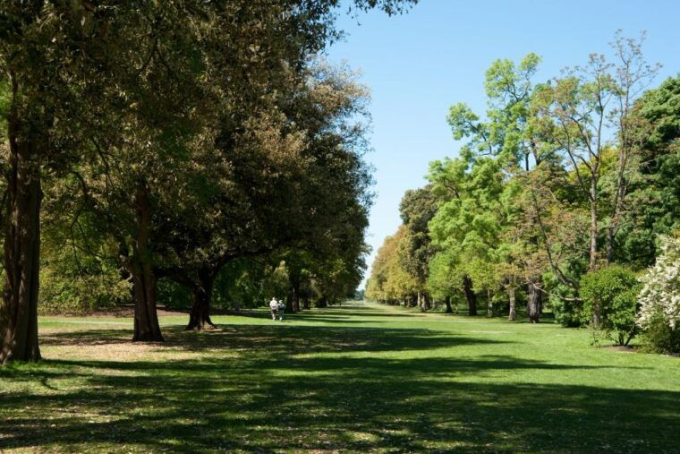 london-kew-gardens-admission-ticket