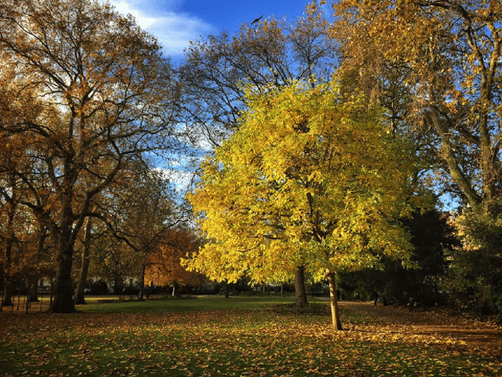 london-literary-walking-tour-bloomsbury