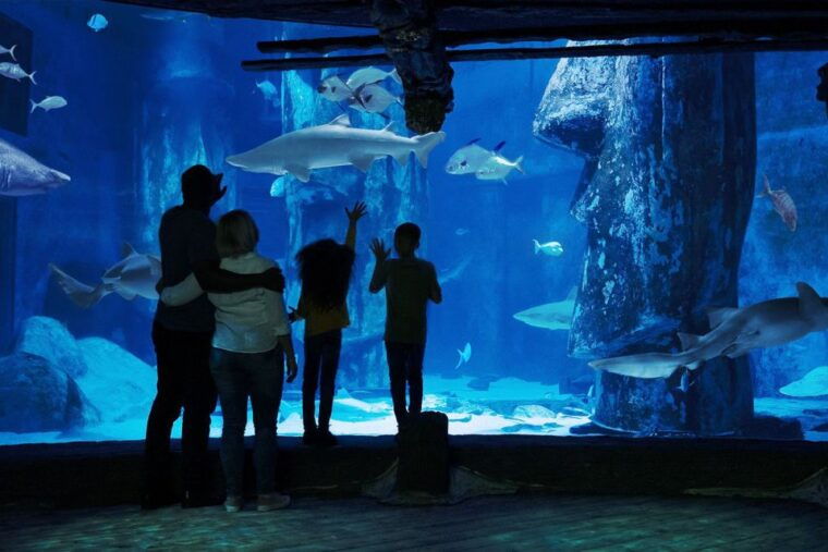 london-madame-tussauds-london-eye-sea-life-combo-ticket