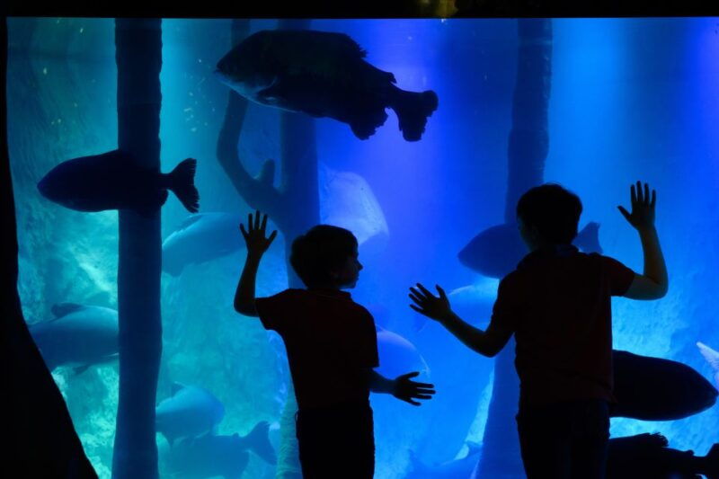 london-madame-tussauds-sea-life-and-london-dungeon-entry