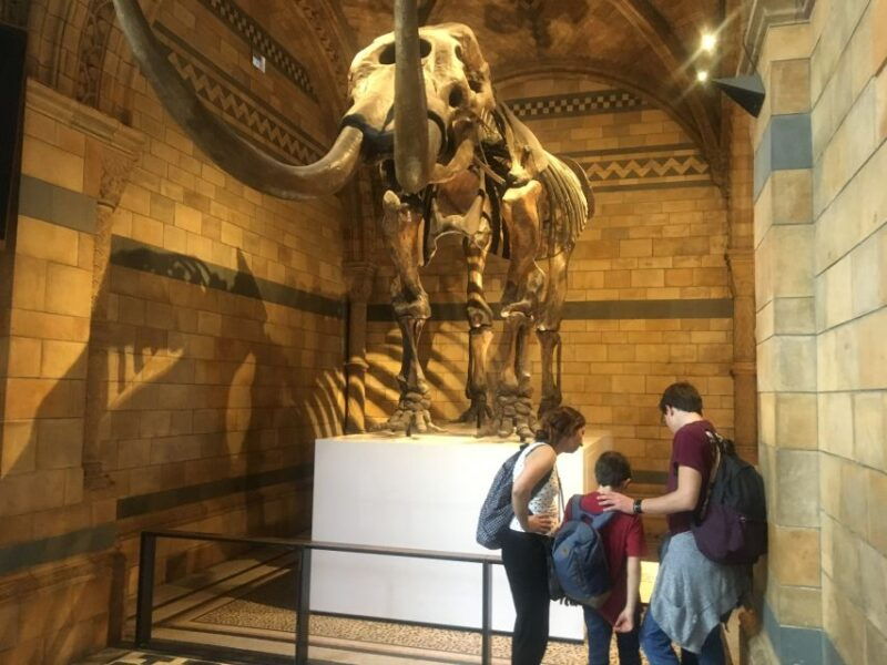london-natural-history-museum-entry-ticket-and-guided-tour