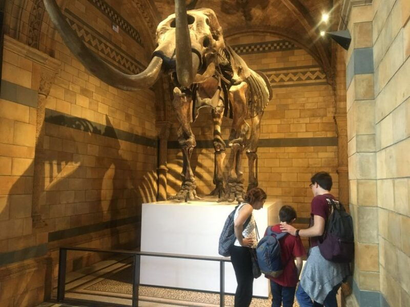 london-natural-history-museum-entry-ticket-and-guided-tour