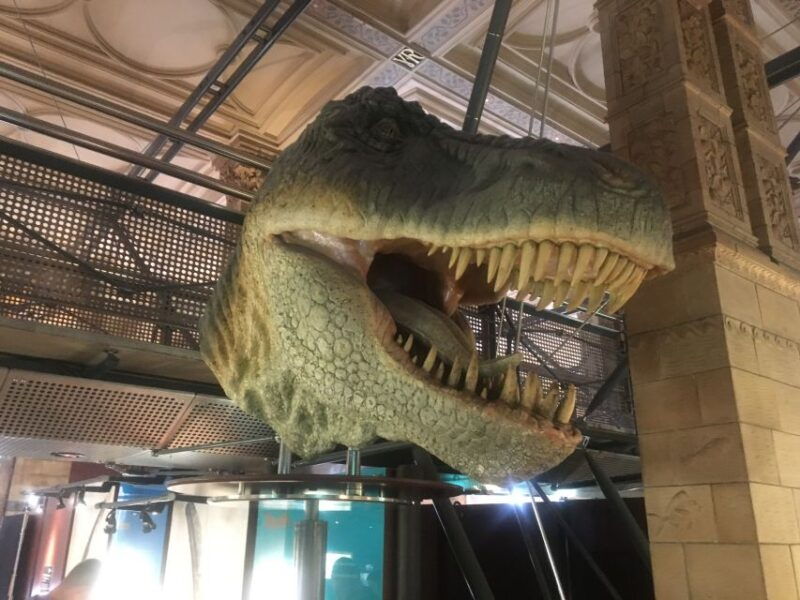 london-natural-history-museum-entry-ticket-and-guided-tour