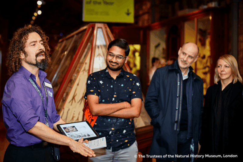london-natural-history-museum-guided-tour-afternoon-tea