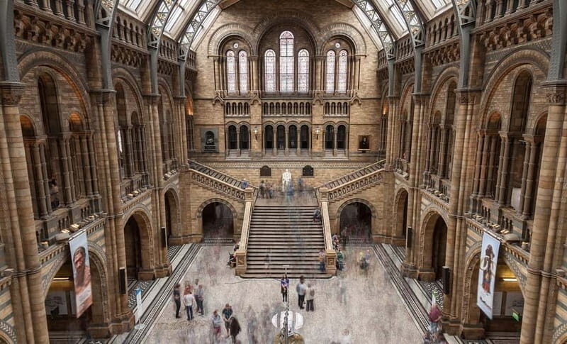 London: Natural History Museum + Guided Tour+ Priority Entry - Key Points