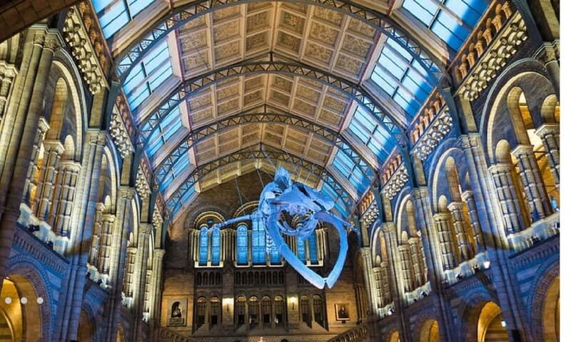 London: Natural History Museum + Guided Tour+ Priority Entry - An In-Depth Look at the Tour Experience