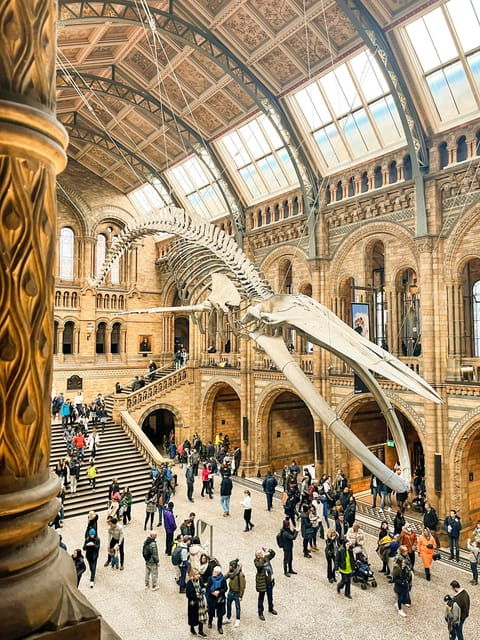 london-natural-history-museum-guided-tour