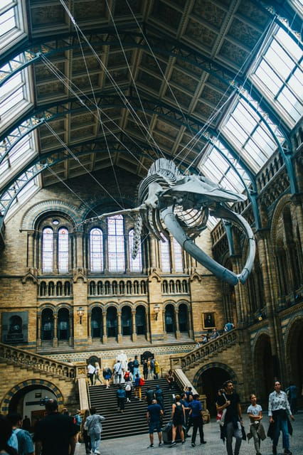 london-natural-history-museum-guided-tour