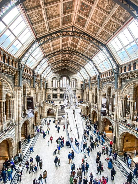 london-natural-history-museum-guided-tour