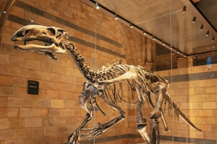 london-natural-history-museum-private-guided-family-tour