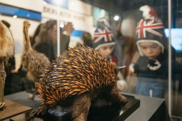 london-natural-history-museum-private-guided-family-tour