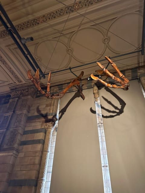 london-natural-history-museum-private-guided-tour