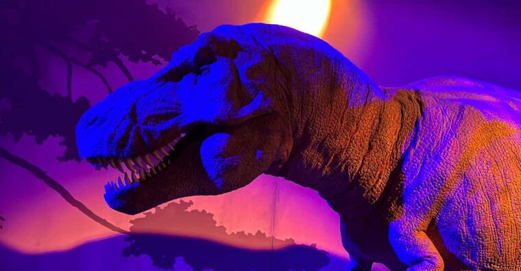 london-natural-history-museum-private-guided-tour