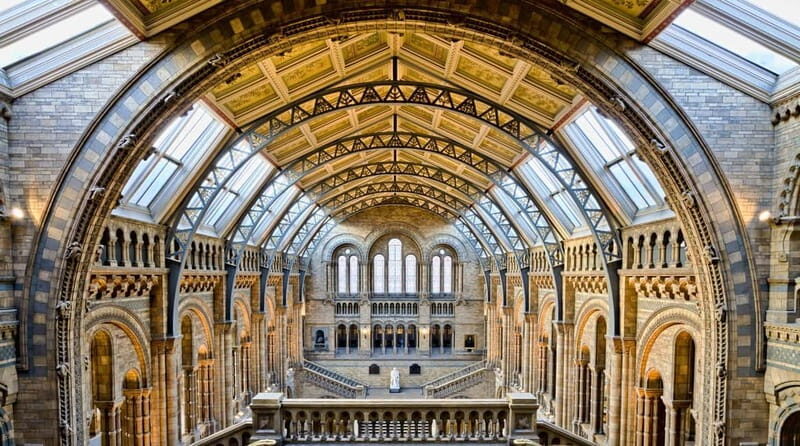 London: Natural History Museum Reserved Entry & Audio Tour - The Value of the Experience