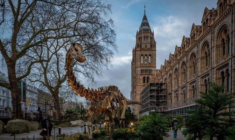 London: Natural History Museum Reserved Entry & Audio Tour - FAQ