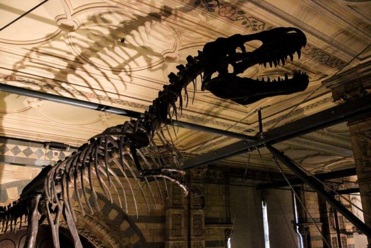 london-natural-history-museum-tour